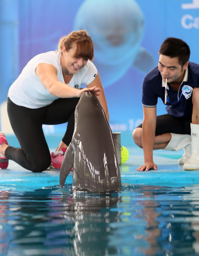 上是异常难 上是异常难