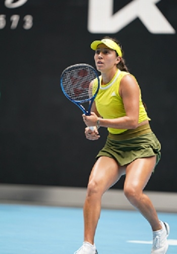 严谨决策的 严谨决策的