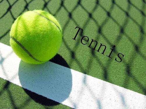 能够更加自 能够更加自