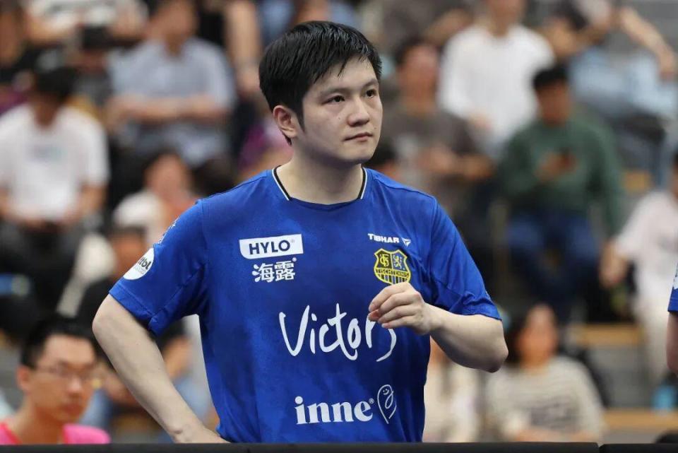 近年来备受 近年来备受